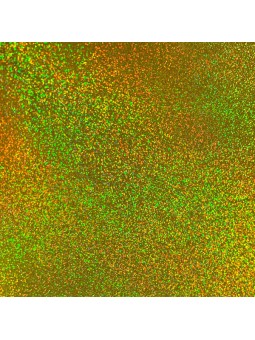 Hologramm Klebefolie, 50cm breit