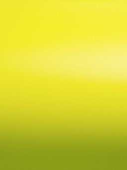 Grafityp MSC Folie, Breite 30cm